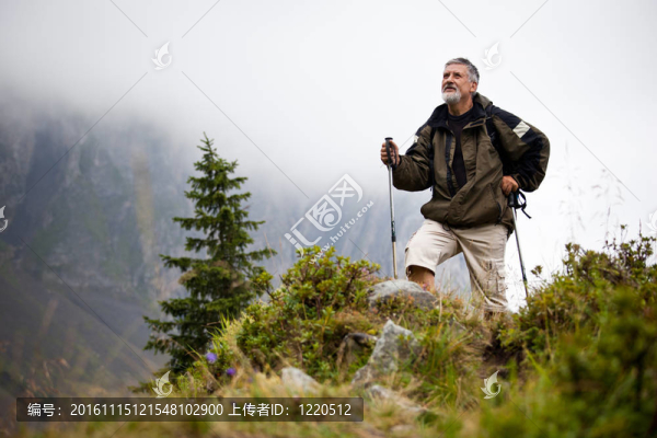 活躍英俊的資深男子北歐步行