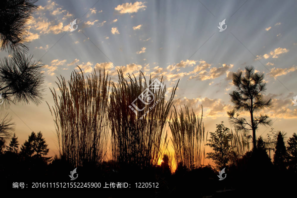 在明秀園的地平線上日落