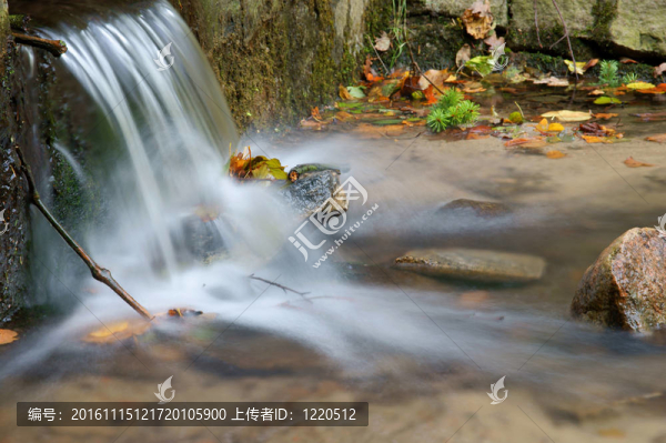 小溪的水