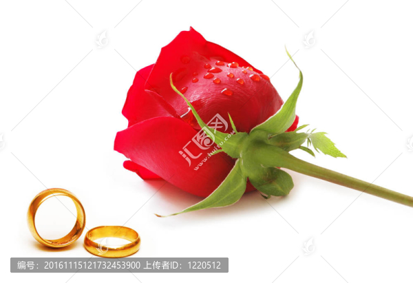 婚禮的概念與玫瑰和戒指