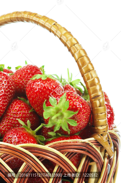 strawberry_002（23）.jpg