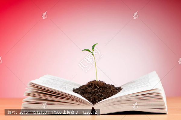 圖書與苗木知識觀
