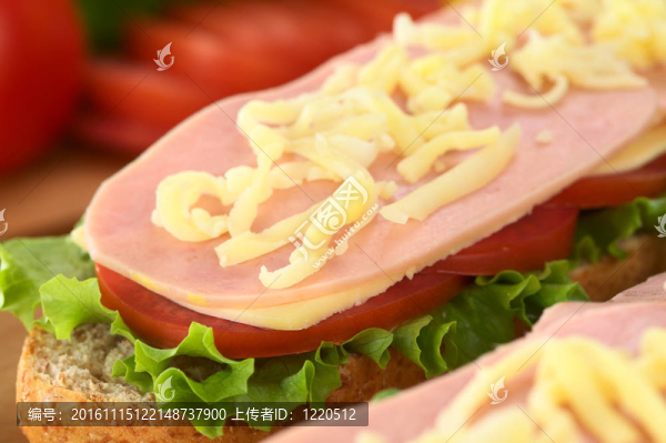 生菜打開夾層；番茄；奶酪；火腿和奶酪上（選擇性聚焦；對夾層的前焦點）