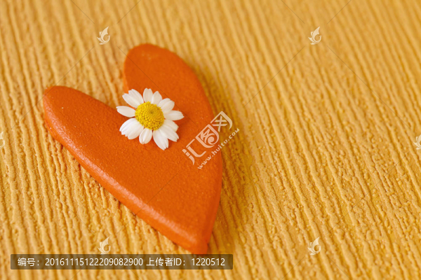 心和雛菊