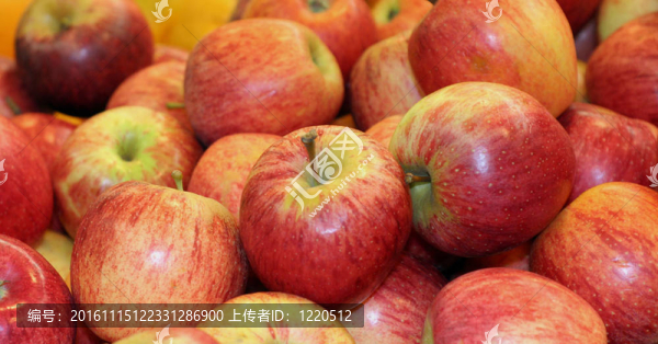 蘋(píng)果-匯圖網(wǎng) www.fosd68.com 蘋(píng)果