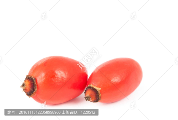 狗薔薇