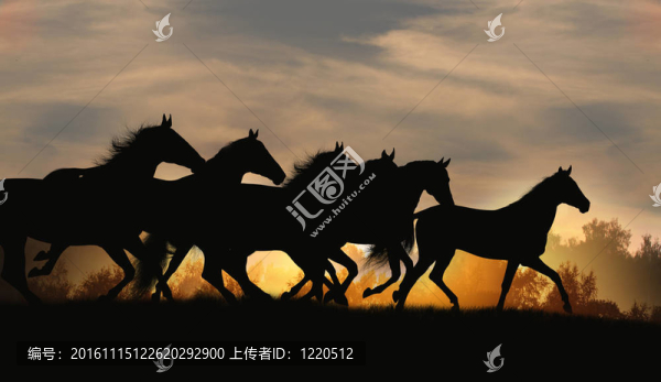 馬在日落