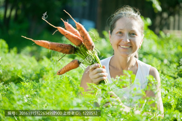 成熟的女人選擇carrot