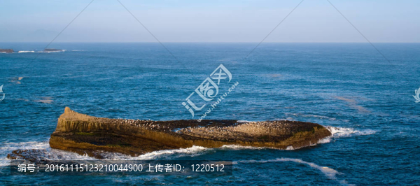 海洋
