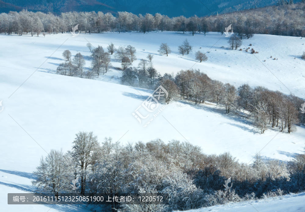 第一次冬季雪和高山山毛櫸森林