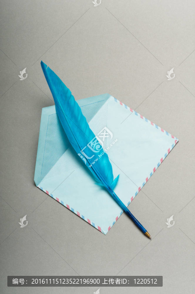 信和孤立在白色飛羽