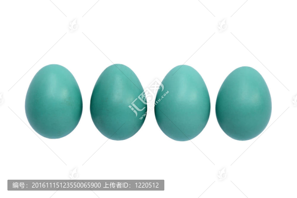 知更鳥蛋