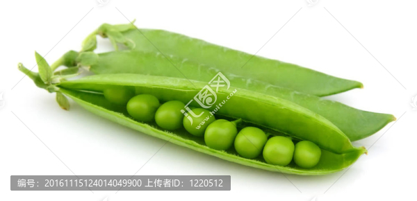 年輕的豌豆