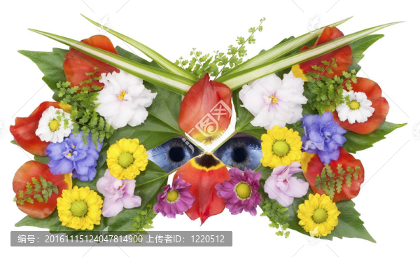 野花春天的面具和眼睛