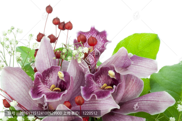 婚禮花束中的蘭花