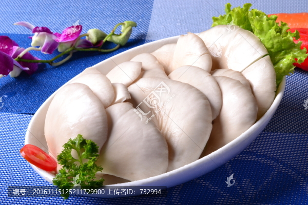 平菇