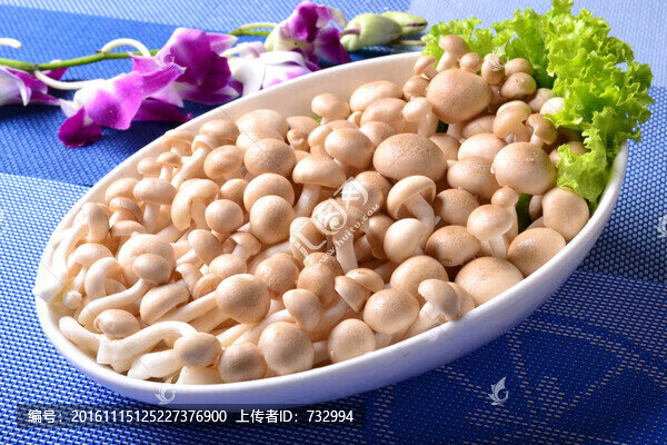 蟹味菇
