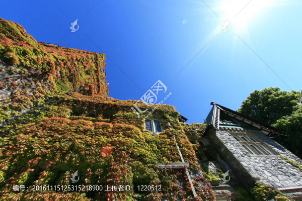Hatley,Castle；Victoria；公元前；加拿大