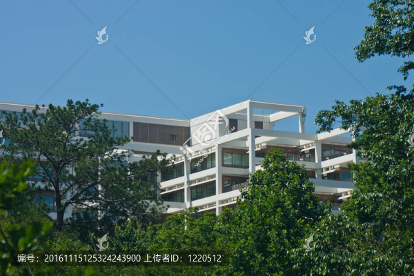 一個(gè)白色的梯田的辦公大樓矗立在藍(lán)天綠樹