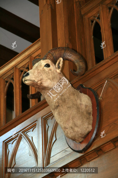 室內的Hatley,Castle；Victoria加拿大；公元前；