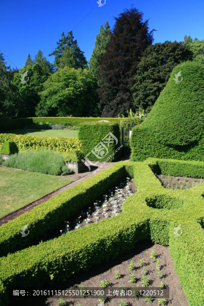 對哈利城堡花園；Victoria；公元前；加拿大