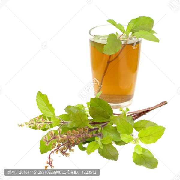 圣羅勒羅勒茶阿育吠陀補(bǔ)救