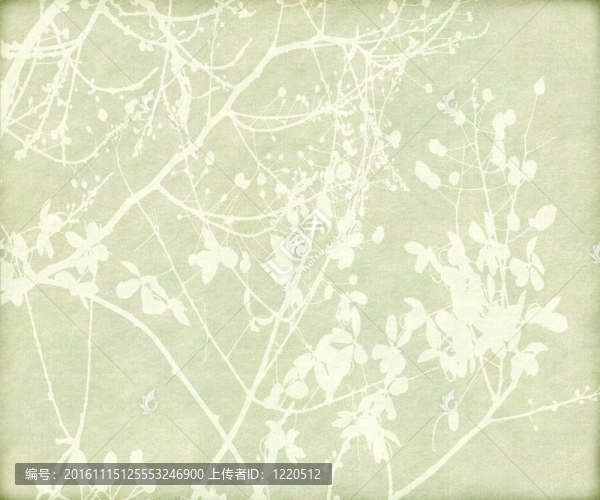 開花與Tangled,Branch