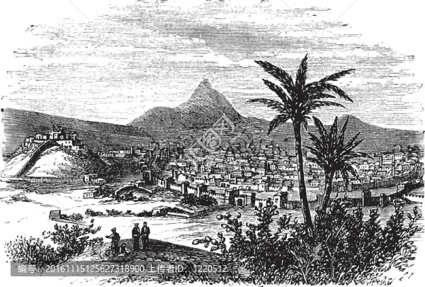 埃爾祖魯姆安納托利亞；土耳其；復(fù)古雕刻