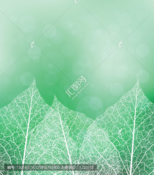 自然主題背景