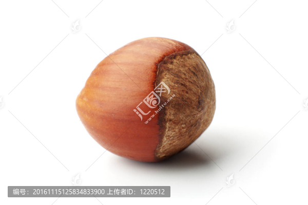 榛子