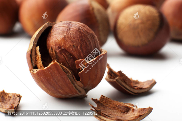 榛子裂開
