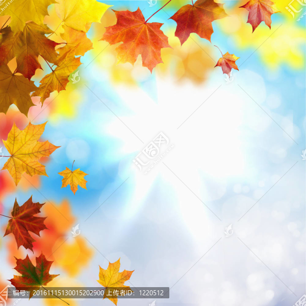 紅色和黃色的葉子