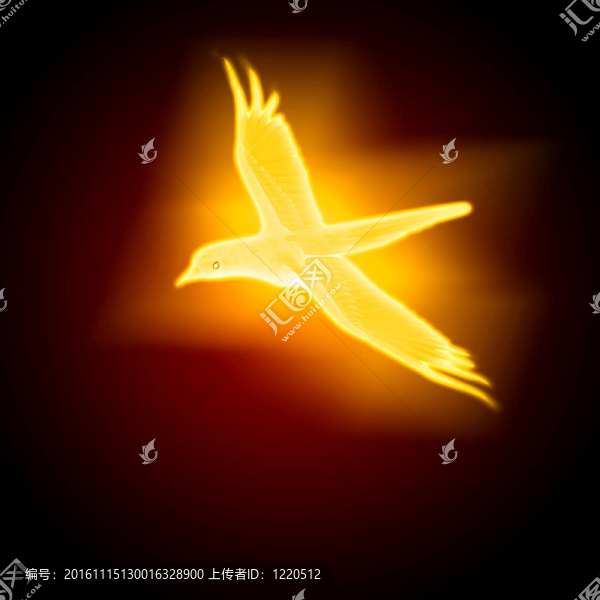黑暗背景下鳥(niǎo)的剪影
