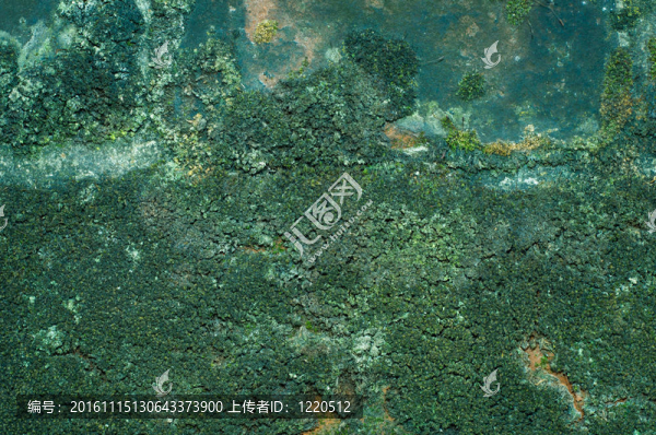 綠色表面紋理