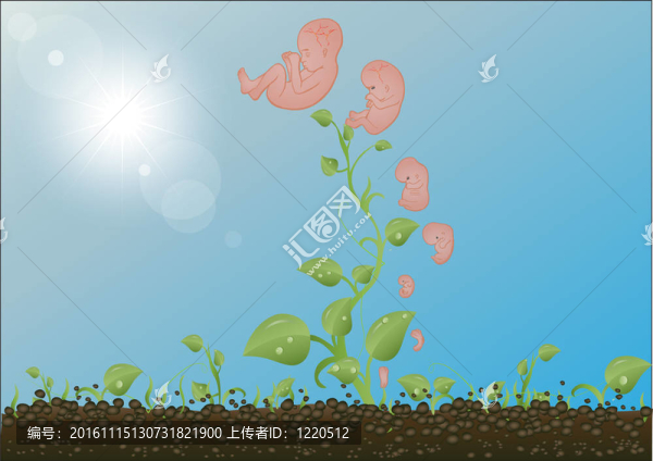 綠芽圖；兒童對(duì)天空和太陽的發(fā)展階段