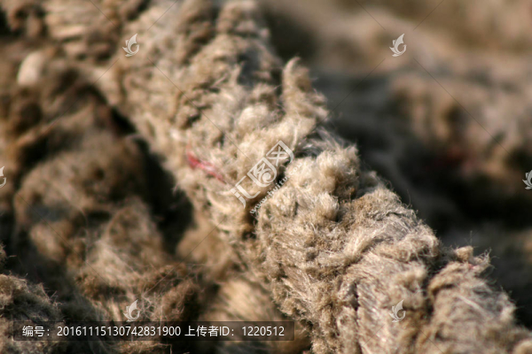 質(zhì)樸的繩-下龍灣（教科文組織）；越南