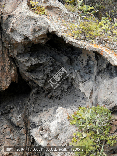 邦達(dá)馬河火山口的火山洞穴里面