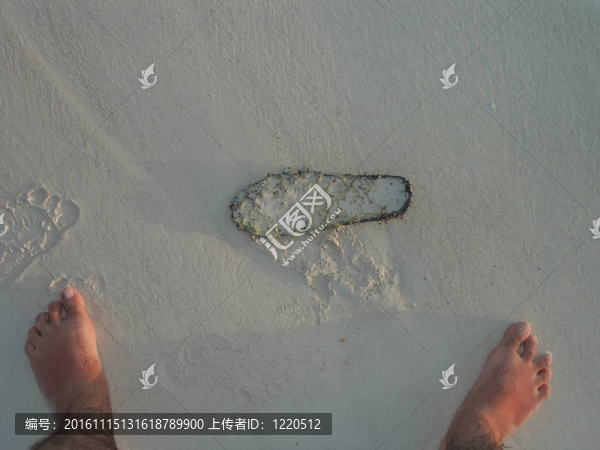 加勒比海灘-匯圖網(wǎng) www.fosd68.com 加勒比海灘