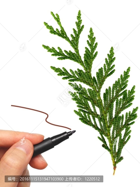 離開你的消息