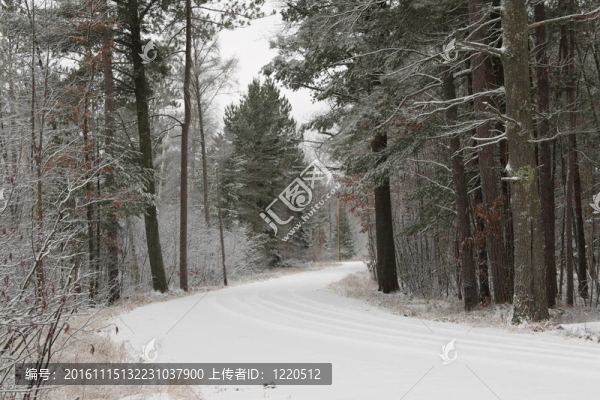 威斯康星北部的一條雪道