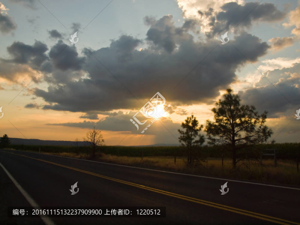 鄉(xiāng)間小路，夕陽落在玉米地后面