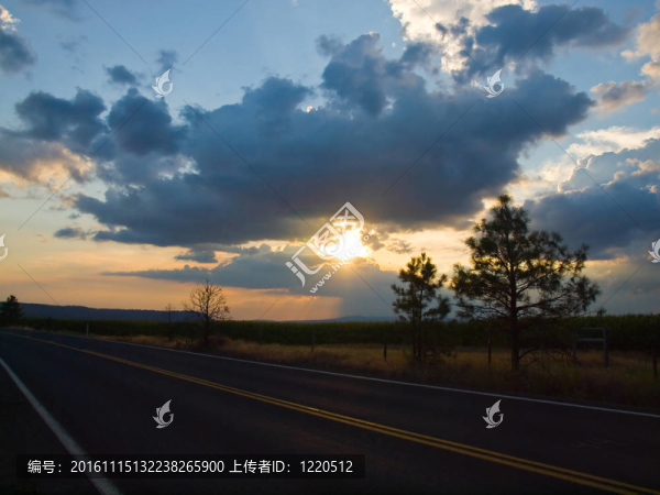 鄉(xiāng)間小路，夕陽(yáng)落在玉米地后面