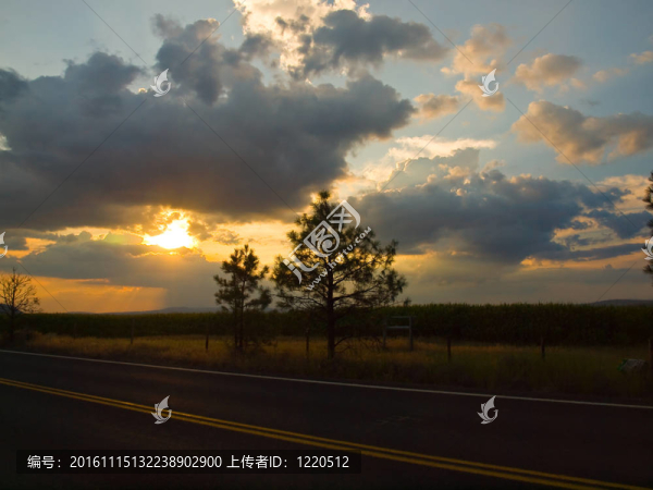 鄉(xiāng)間小路，夕陽落在玉米地后面