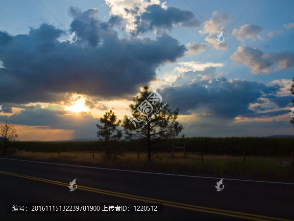 鄉(xiāng)間小路，夕陽落在玉米地后面