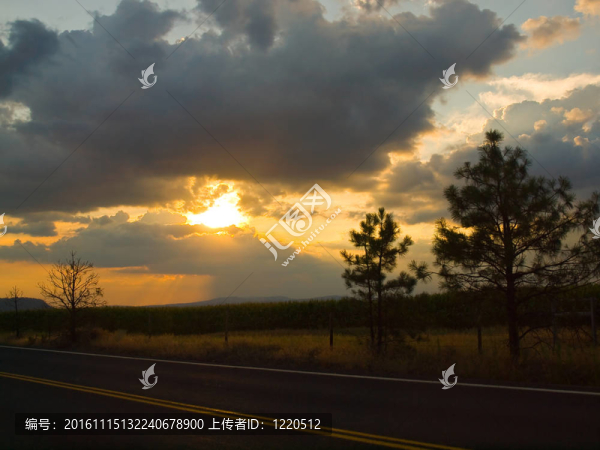 鄉(xiāng)間小路，夕陽落在玉米地后面