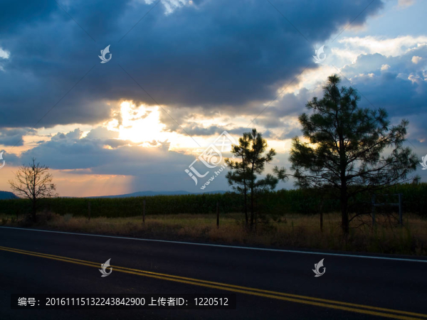 鄉(xiāng)間小路，夕陽落在玉米地后面