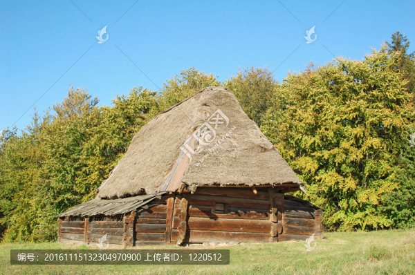 在古代carpatian森林小屋