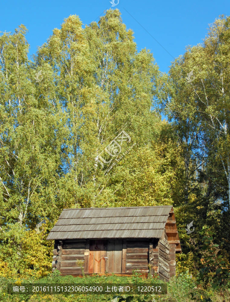 在古代carpatian森林小屋