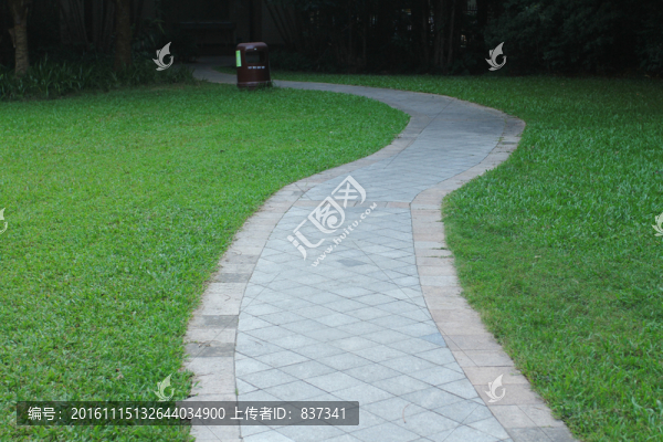 草地小路