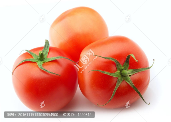 成熟的西紅柿